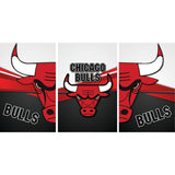 Chicago Bulls Fridge