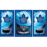 Toronto Maple Leafs Fridge, Custom Fridge Decals