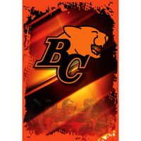 BC Lions Fridge
