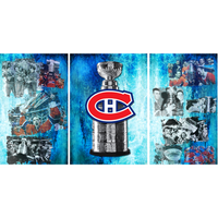 Montreal Canadiens Fridge, Custom Fridge Wraps